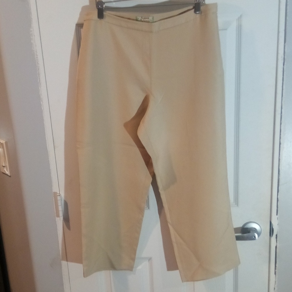 Tommy Bahama silk capris (30)